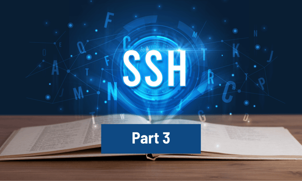 <span id="hs_cos_wrapper_name" class="hs_cos_wrapper hs_cos_wrapper_meta_field hs_cos_wrapper_type_text" style="" data-hs-cos-general-type="meta_field" data-hs-cos-type="text" >SSH Summer School: jump hosts en bestandsoverdracht</span>