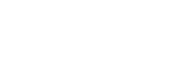 liantis logo wit