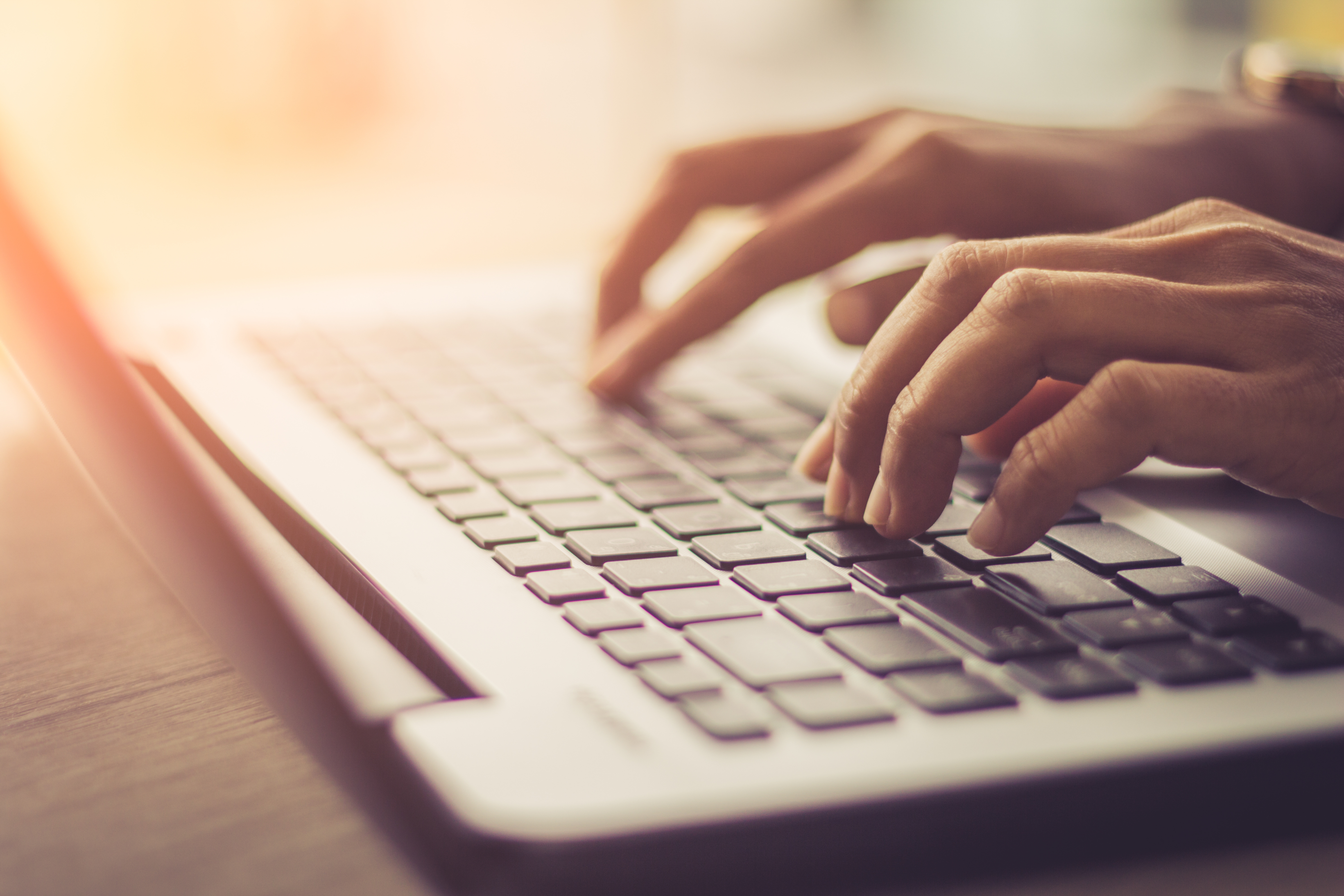 hands laptop