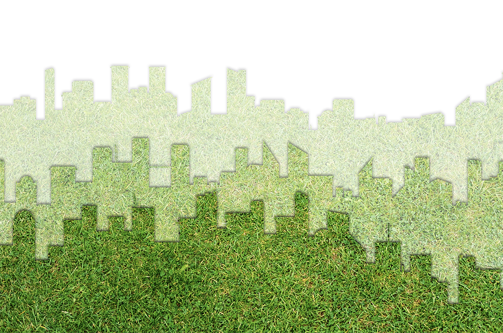 sustainability visual