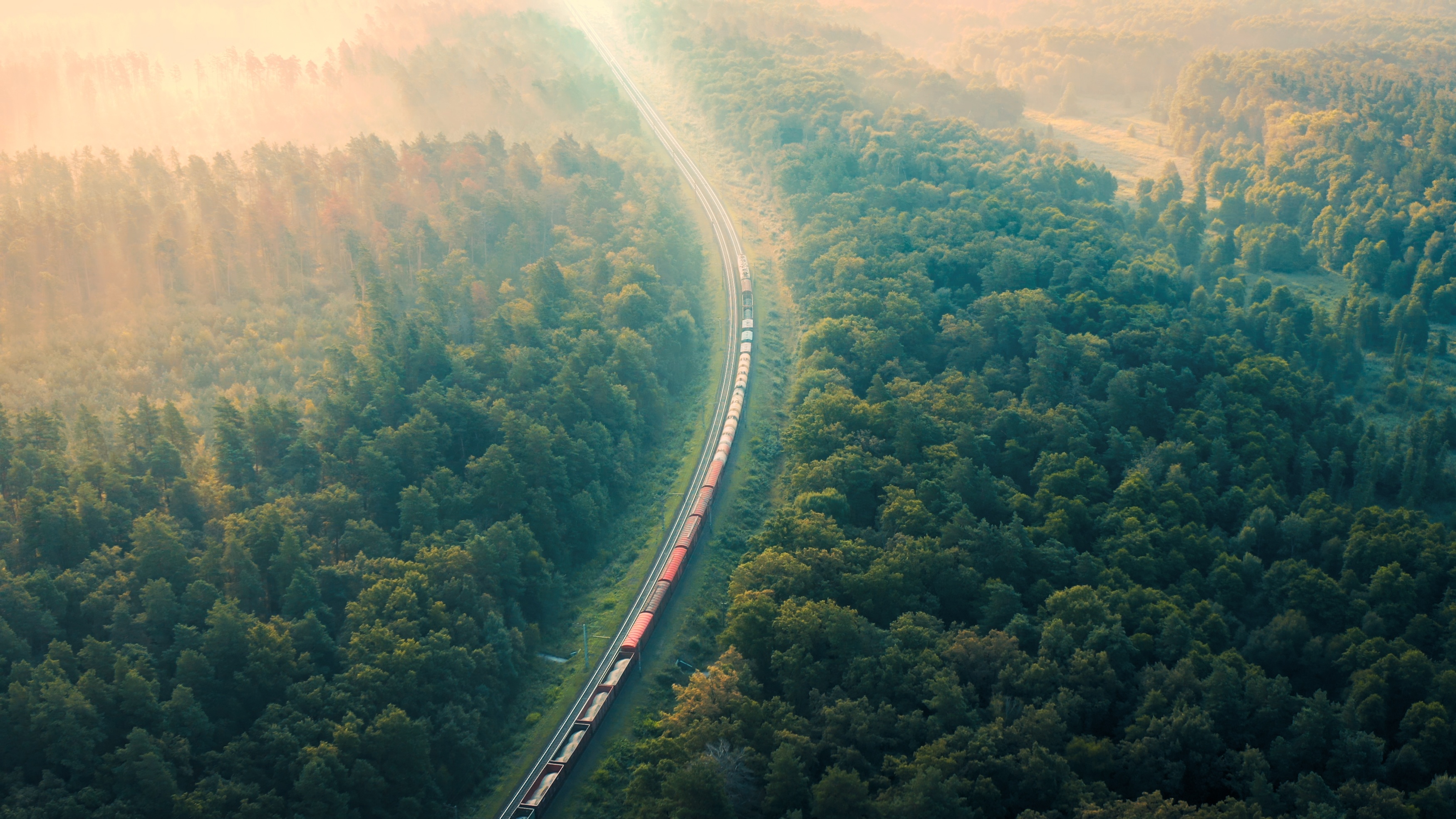 train in woods