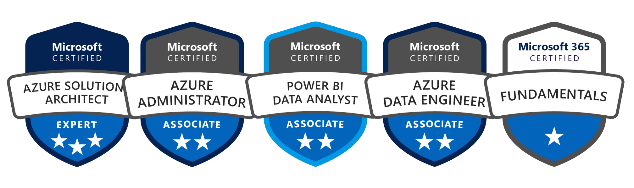 Microsoft Partner Badges