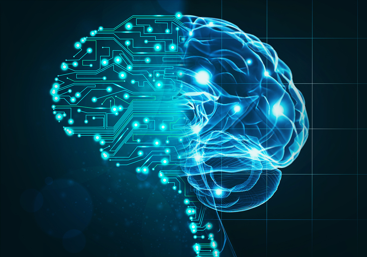 1629289013-ai